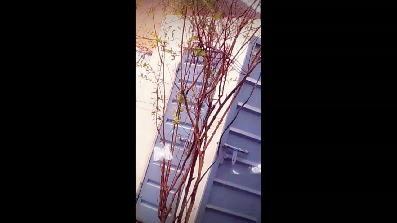 @ع𝓶ب𝓮ر 𝓐𝓻𝓪𝓘𝓷