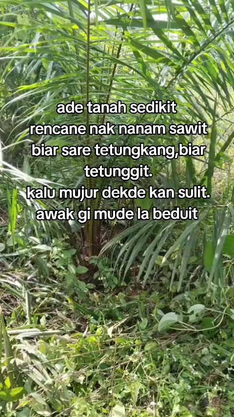 @Susi Ny Yusup