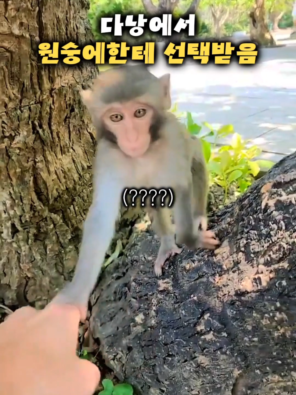 @황녕하세유 HU_on_trip