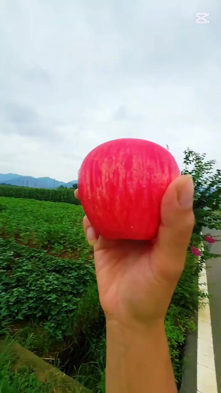 @জিসান