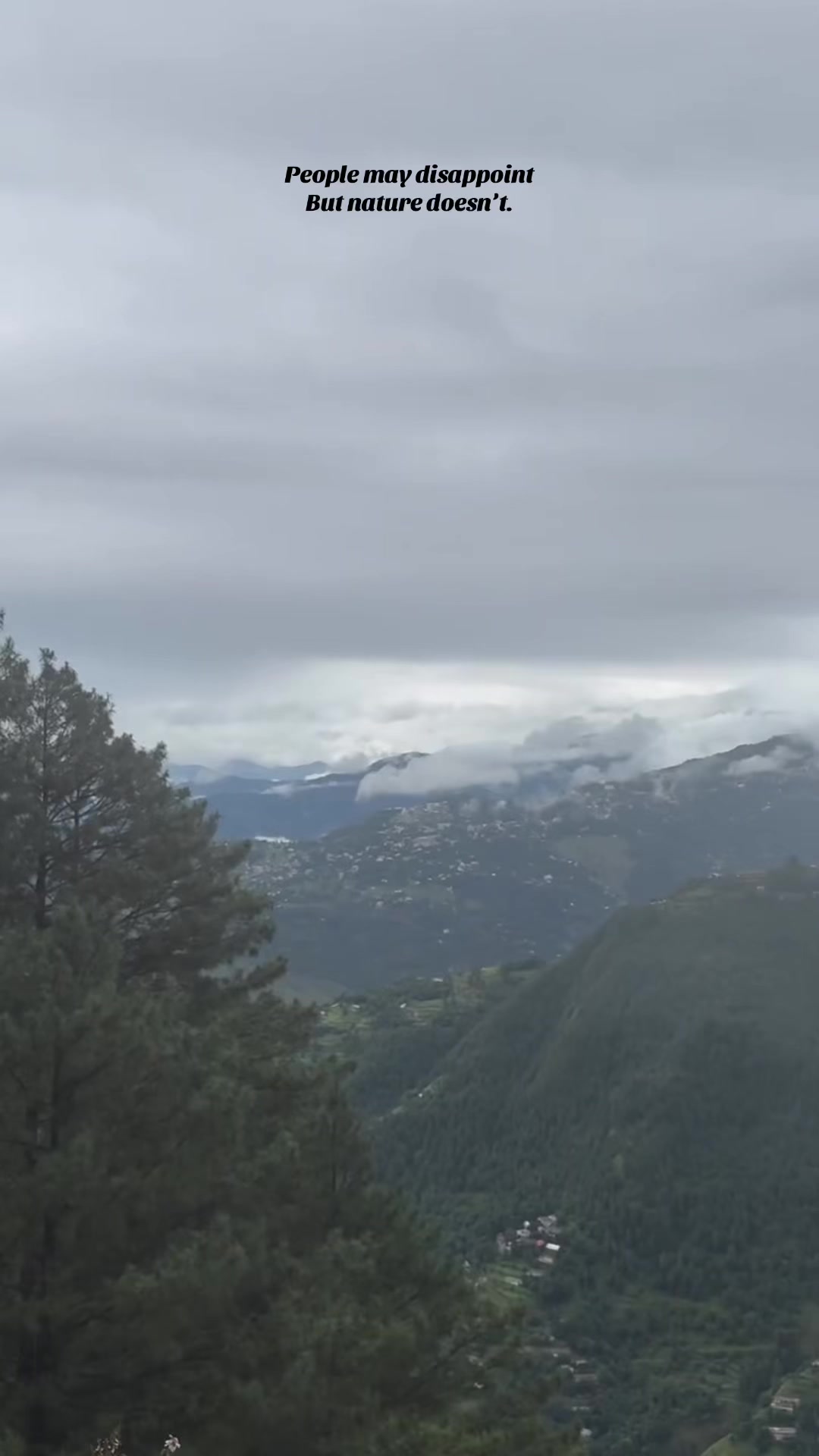 @ایوبیہ🌸