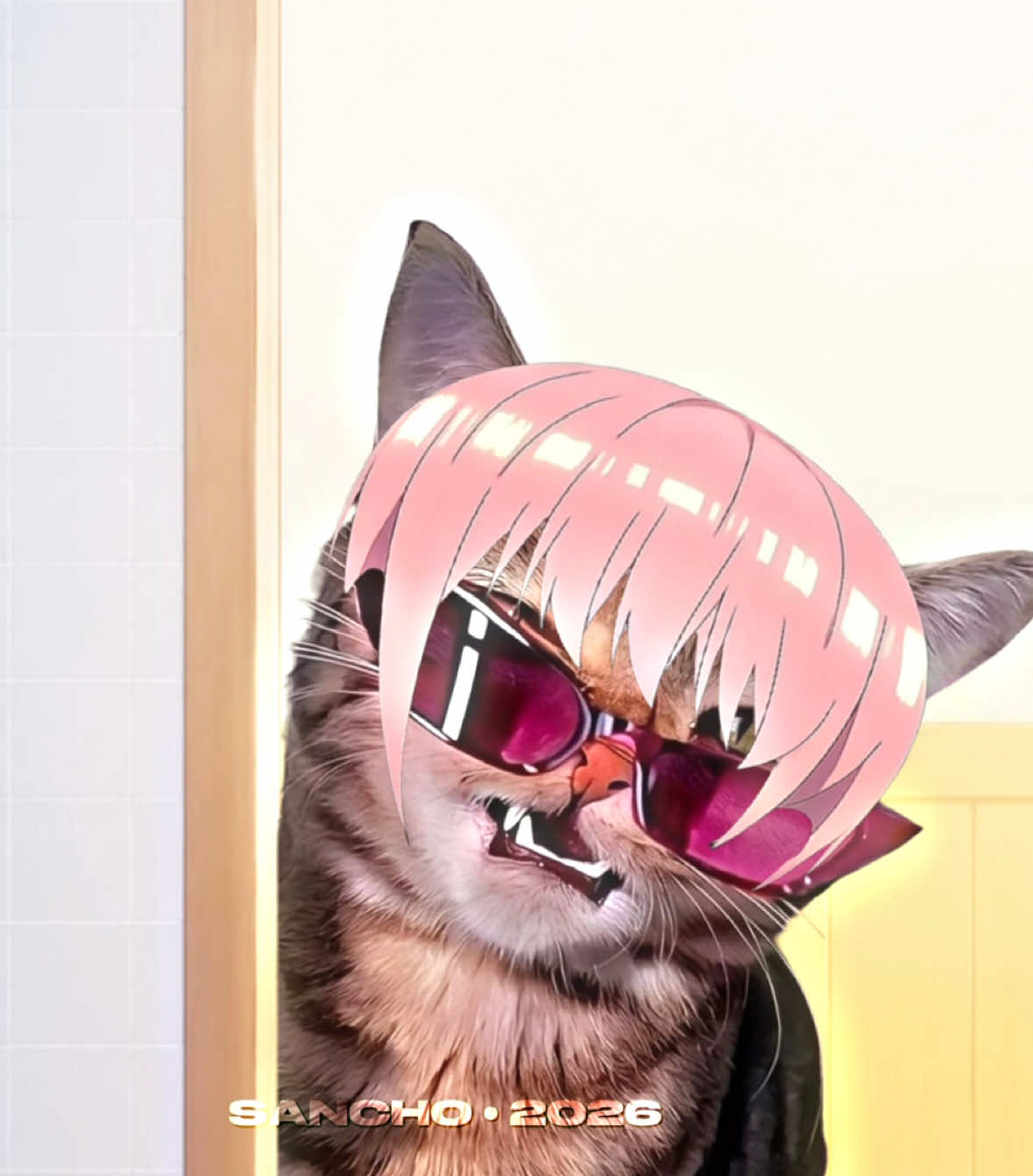 @๐๐ผ๐๐พ๐๐ ๐ช