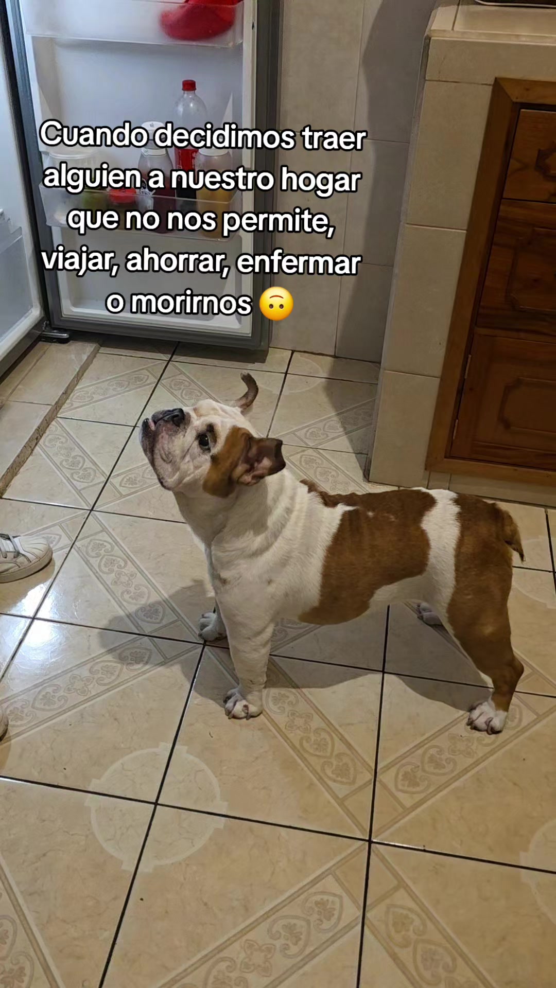 @ChiwaBull