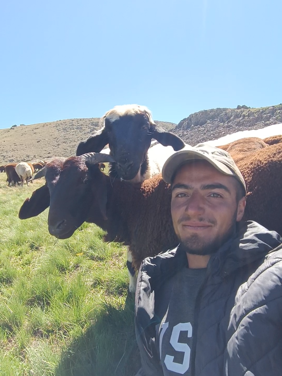 @Habip Baraçkılıç