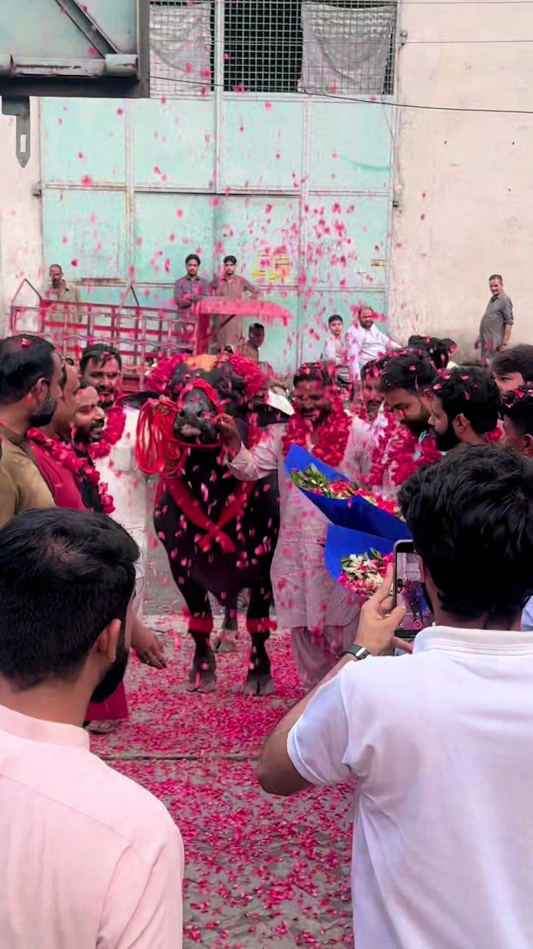 @UMAIR MUGHAL