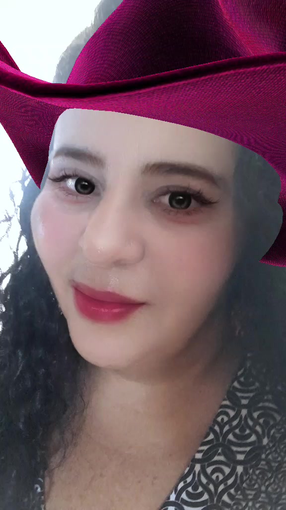 @hildetesilvaolive