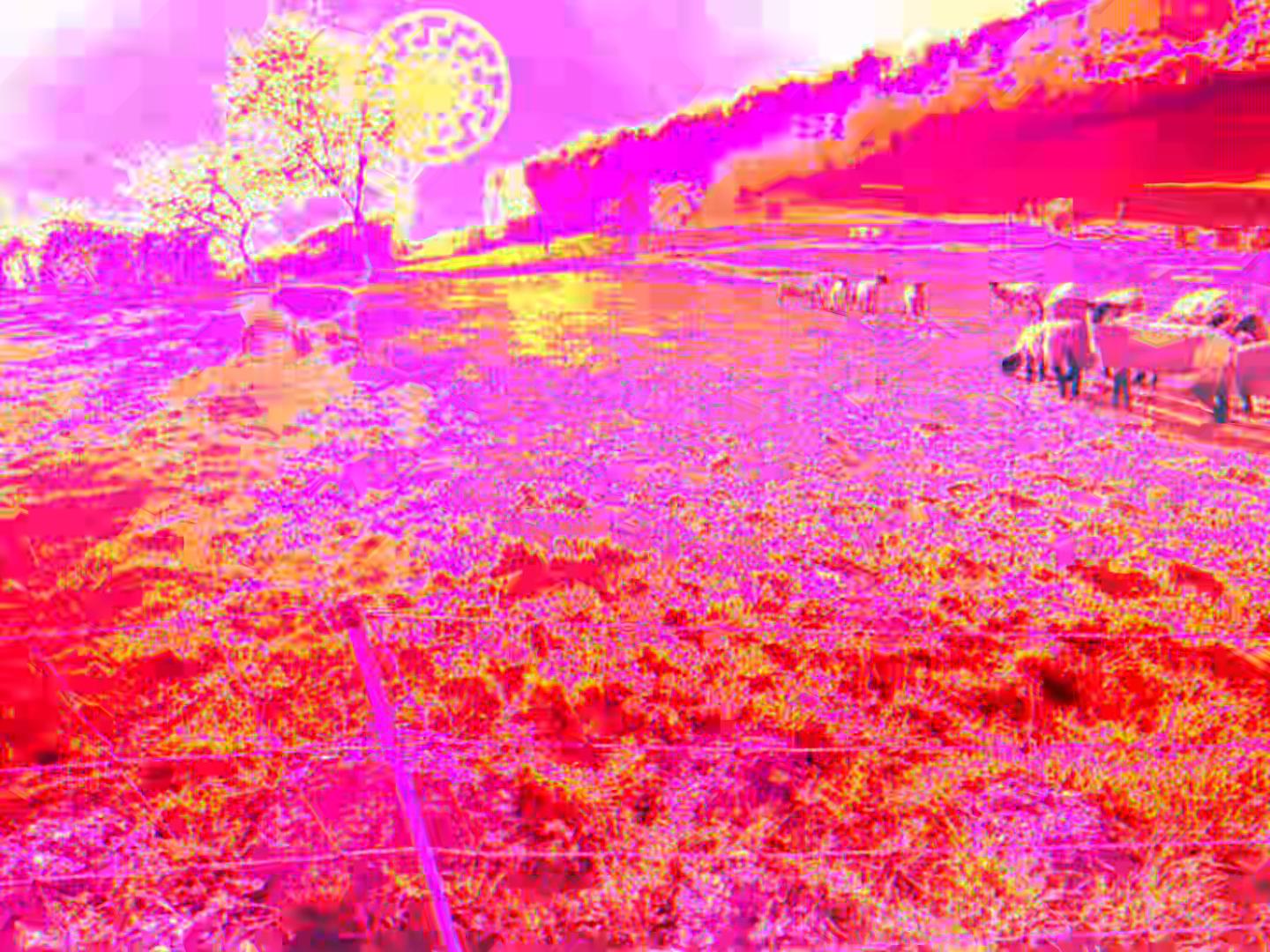 @user69777703692