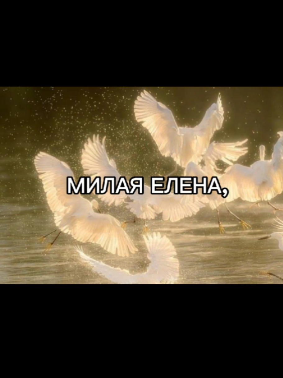 @mitkin