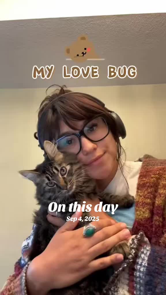 @lexi renee ₍^. .^₎Ⳋ ✮