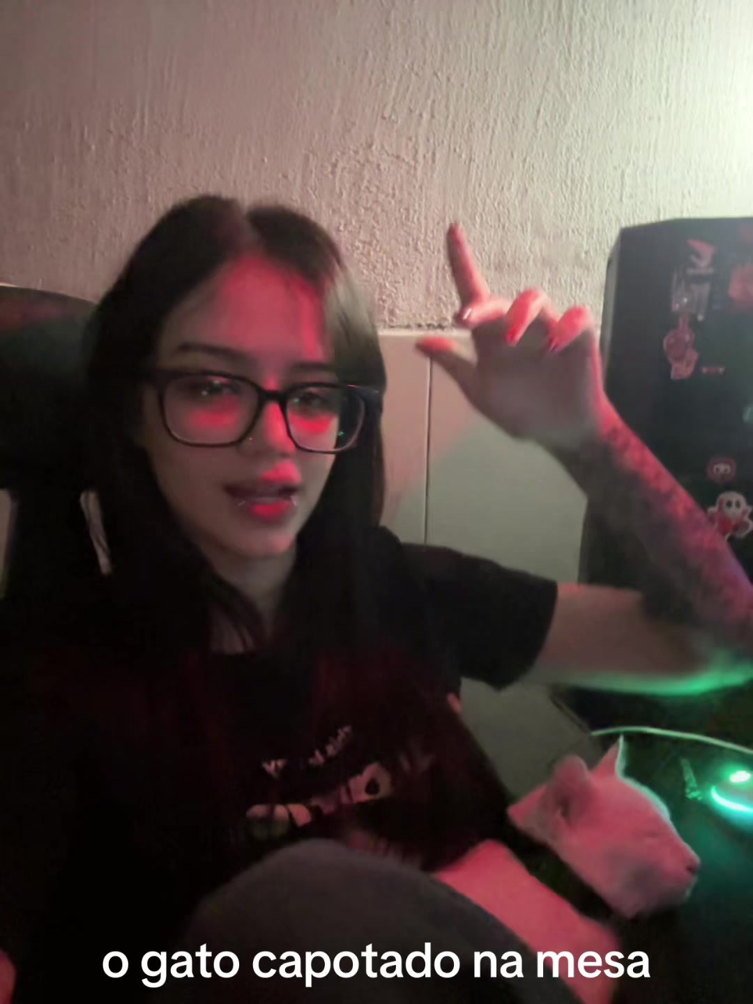 @twitch.tv/fruttinhaa