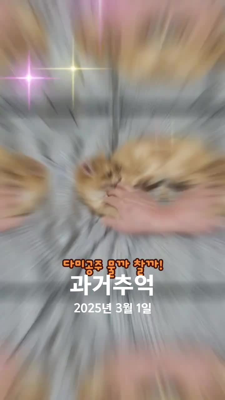 @올마인드