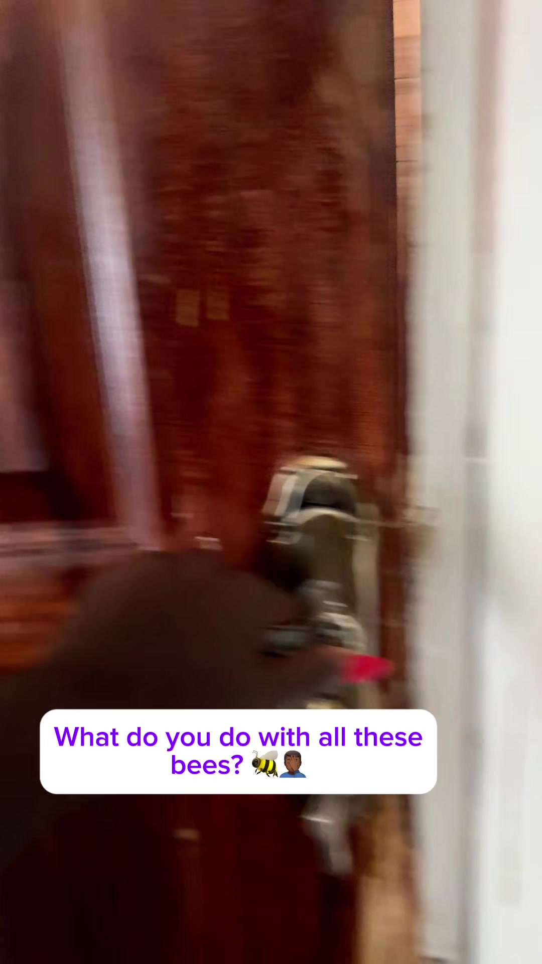 @Crane.Amor