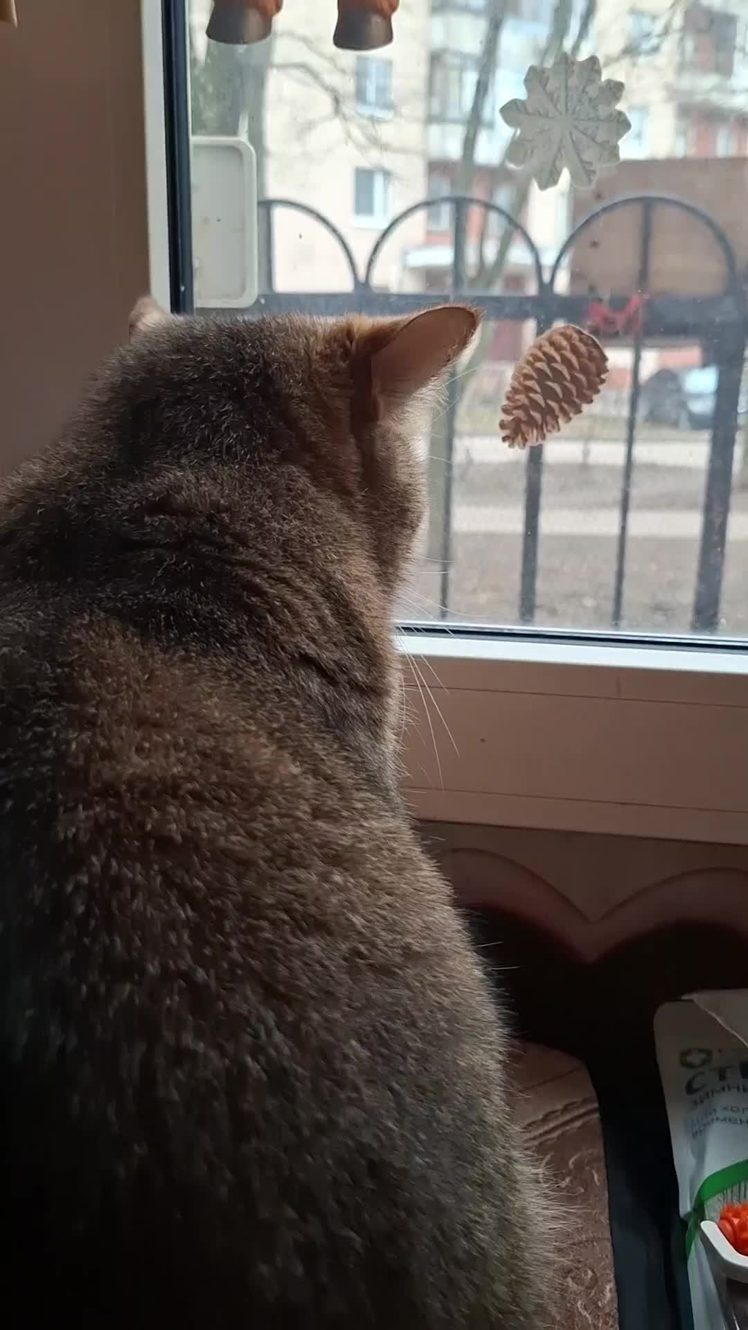 @Жанночка