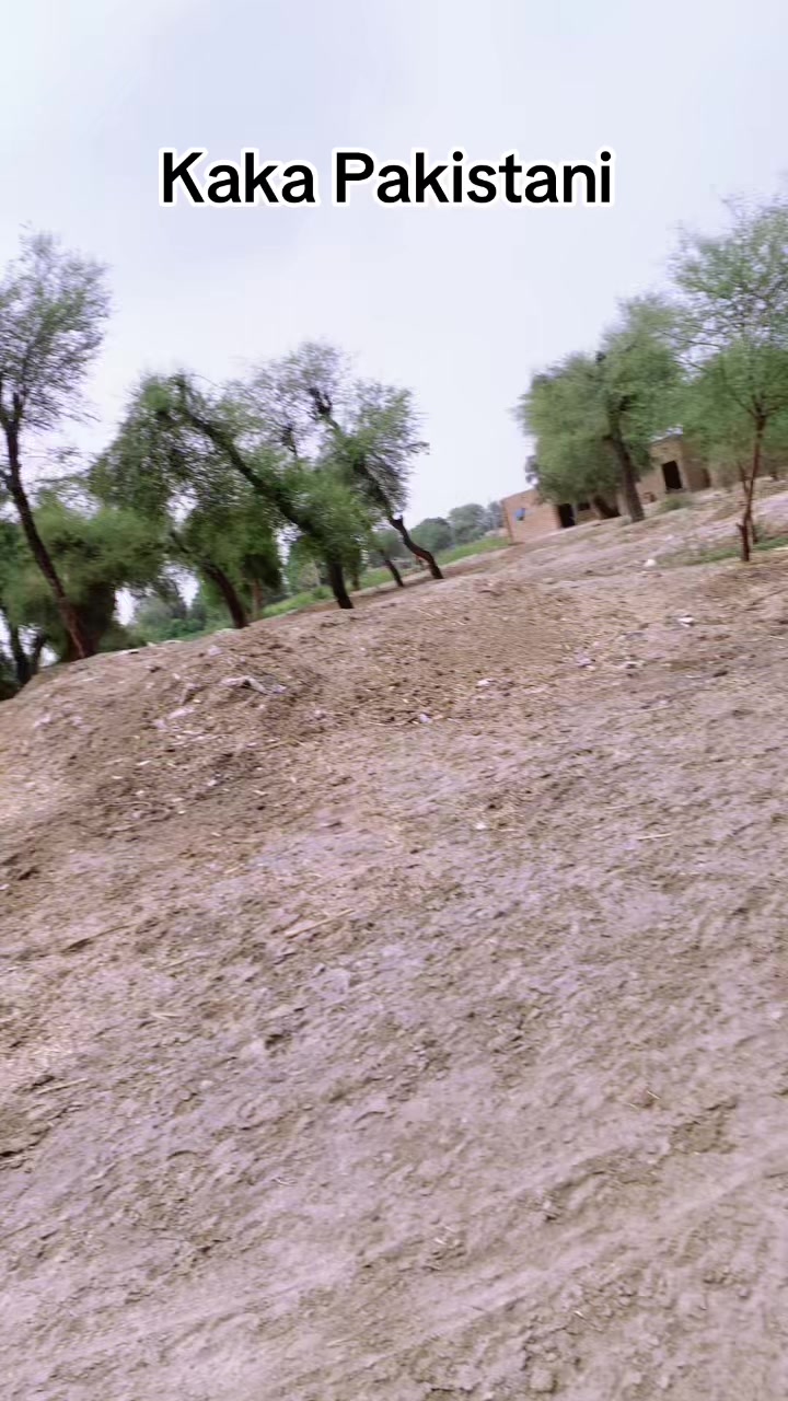 @kakapakistani7