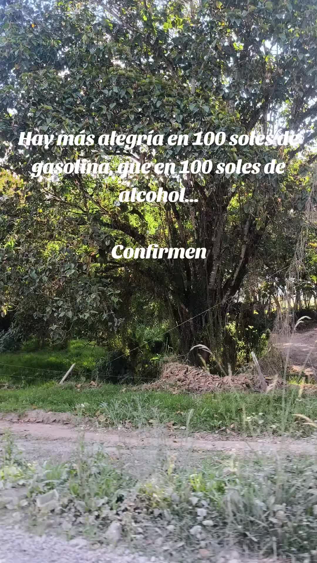@Estefania Buendía Du