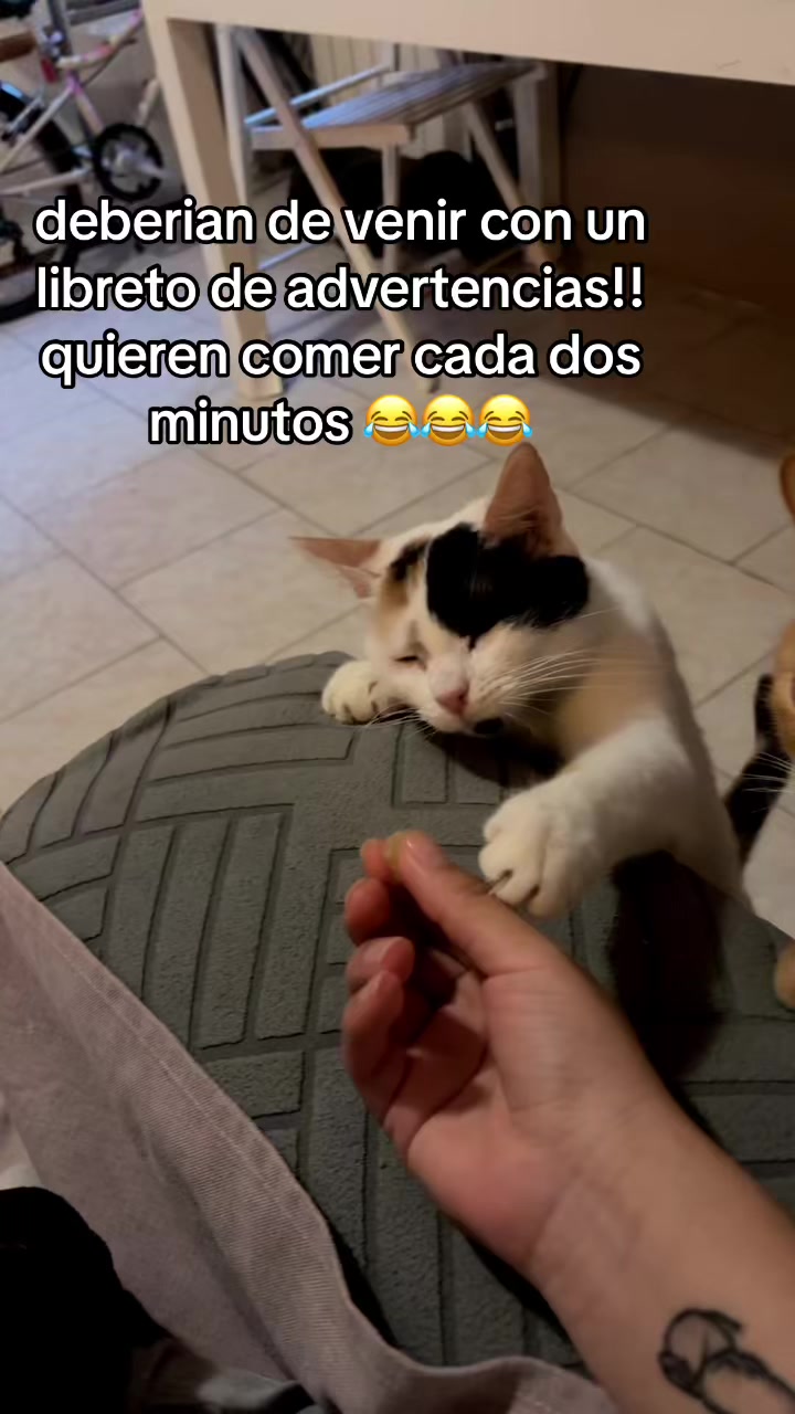 @carolina.vidareal