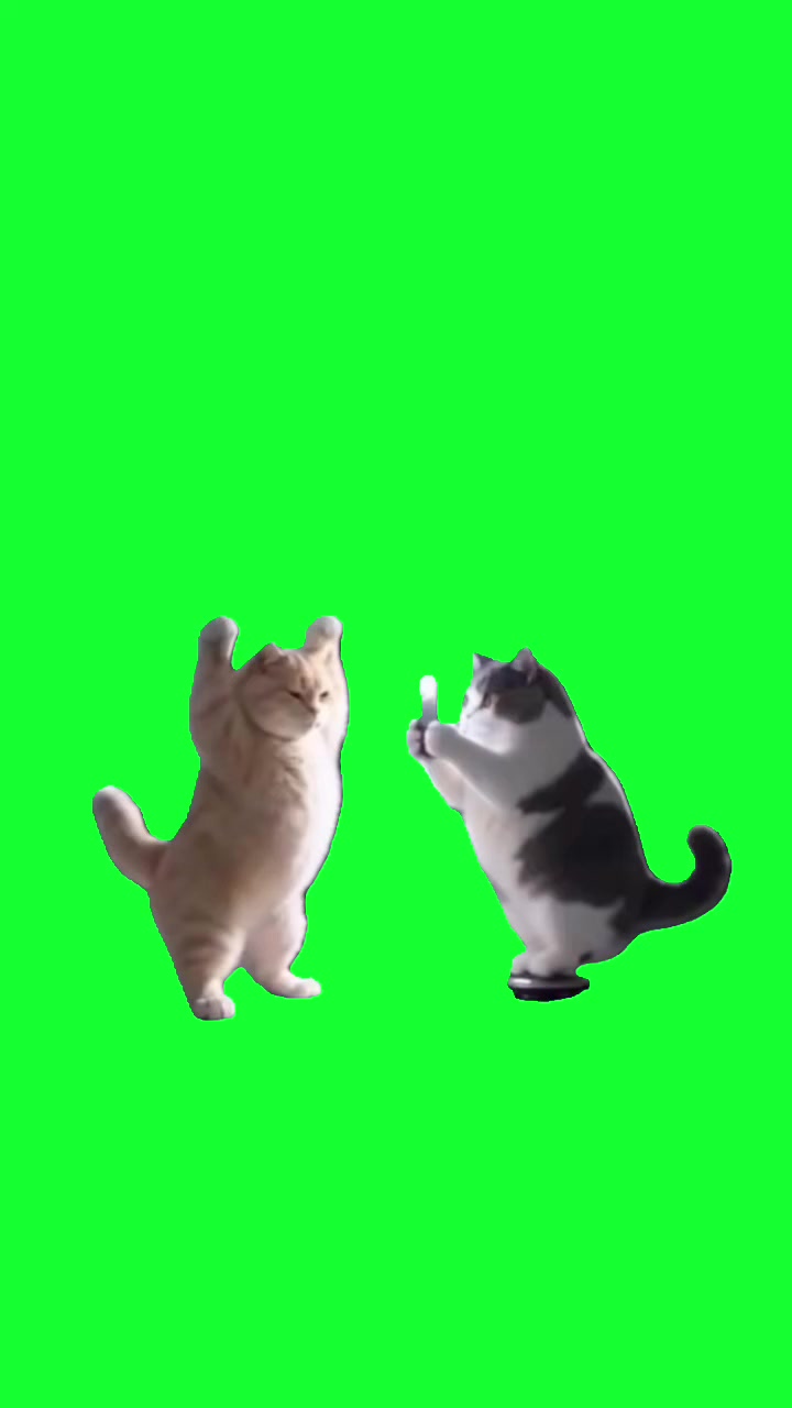 @TikTok Template