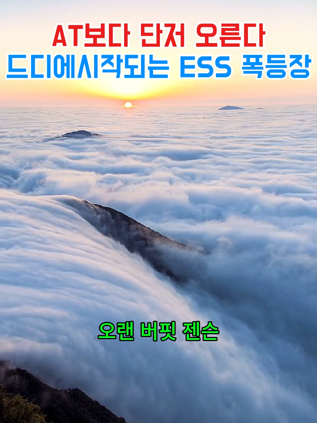 @주식경계인