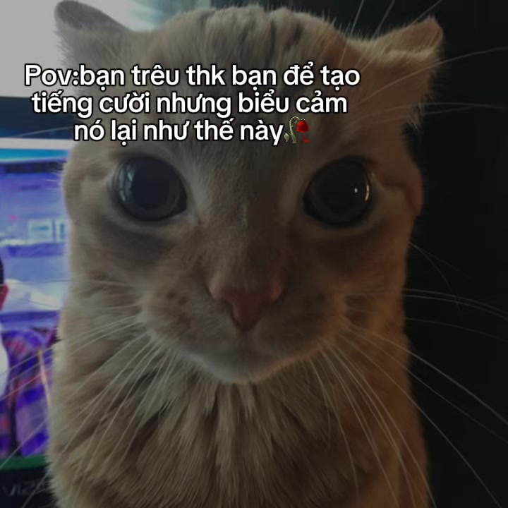 @Lil tốc độ🥀