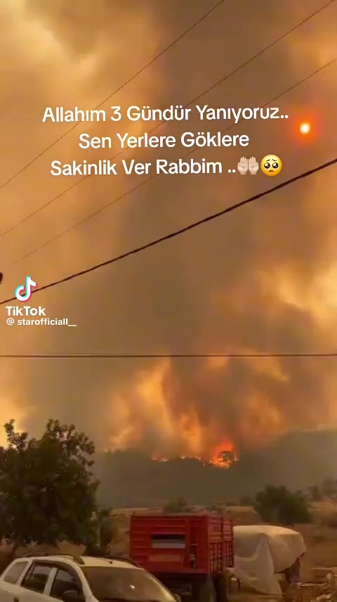 @Havva Güney