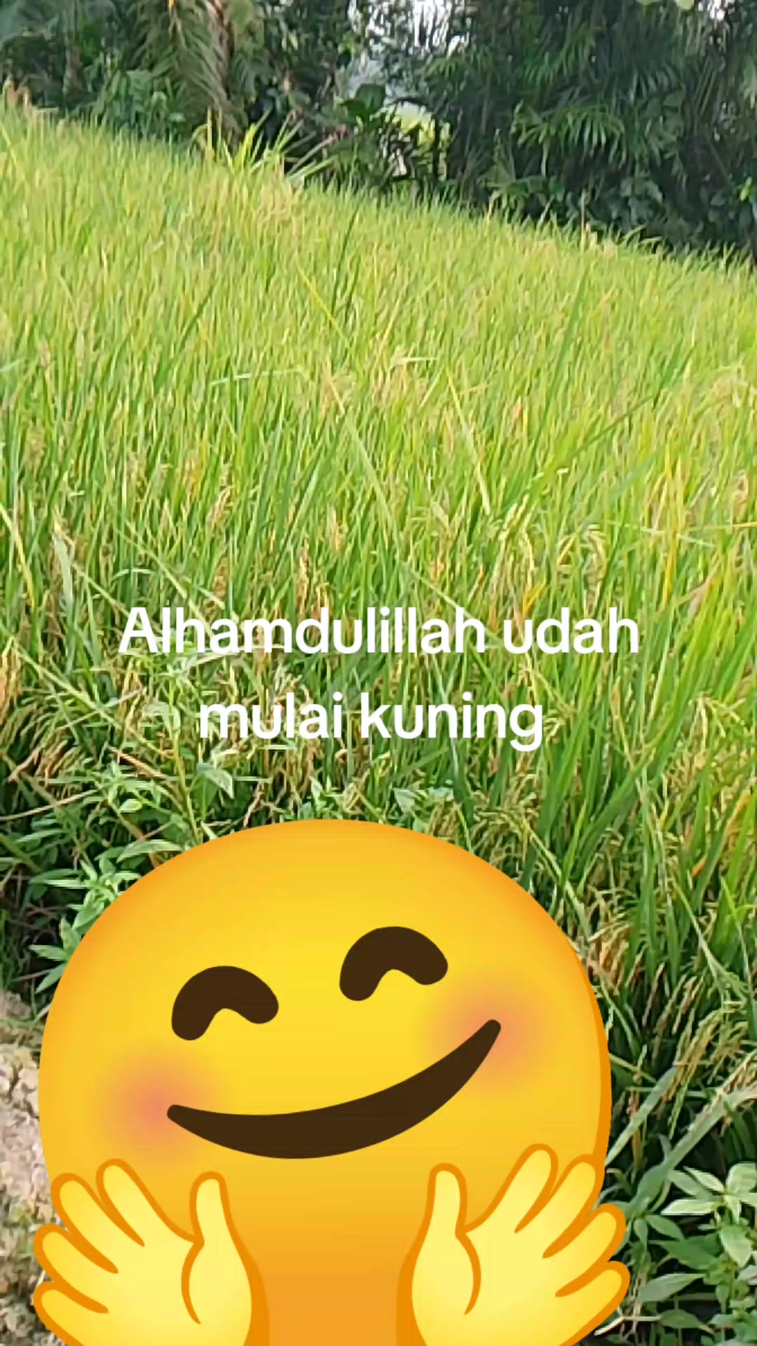 @BUNDA GEMOY 1.