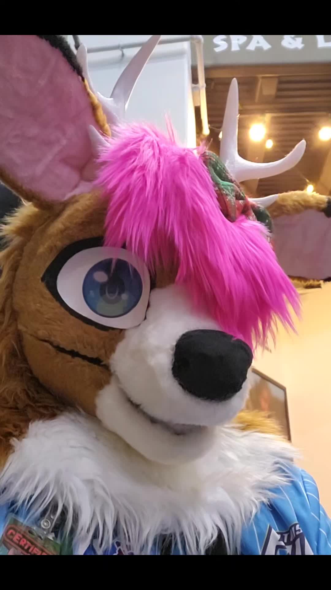 @Savi Wolf 🔜 MFF