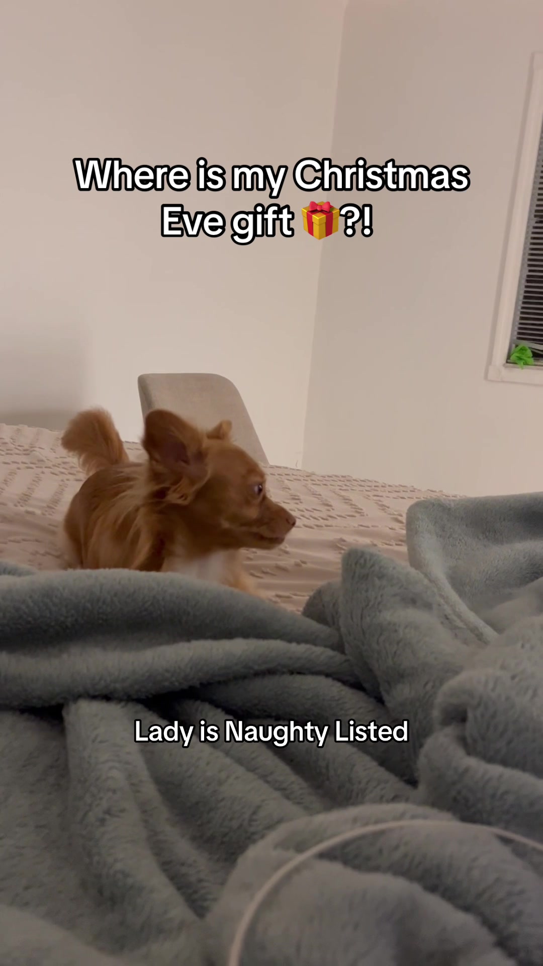 @it&rsquo;s Lady & Lisa