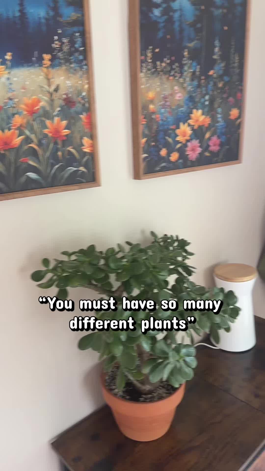 @Elliesmum