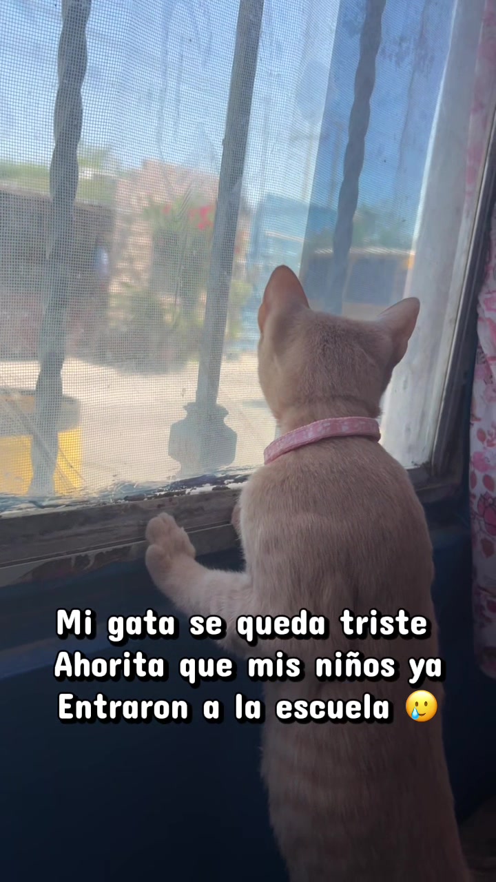 @Maby Maby