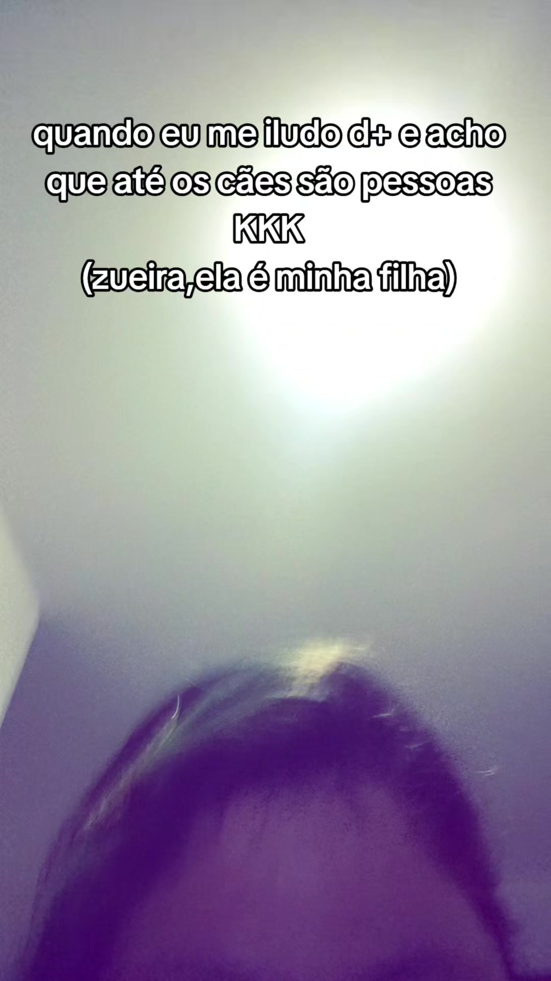 @bibis_123🧩