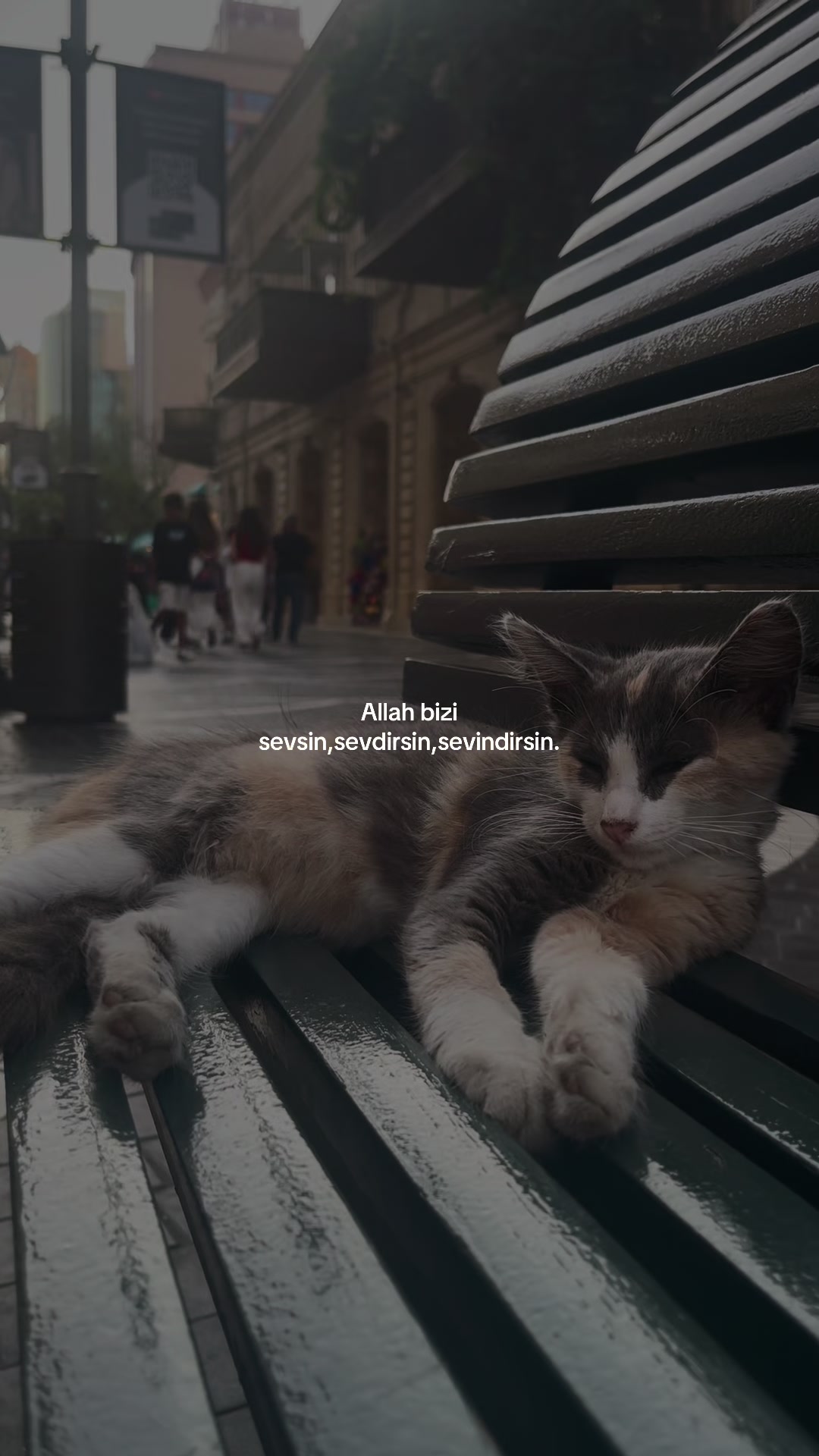 @𝓑𝓸𝓷𝓷𝓲.