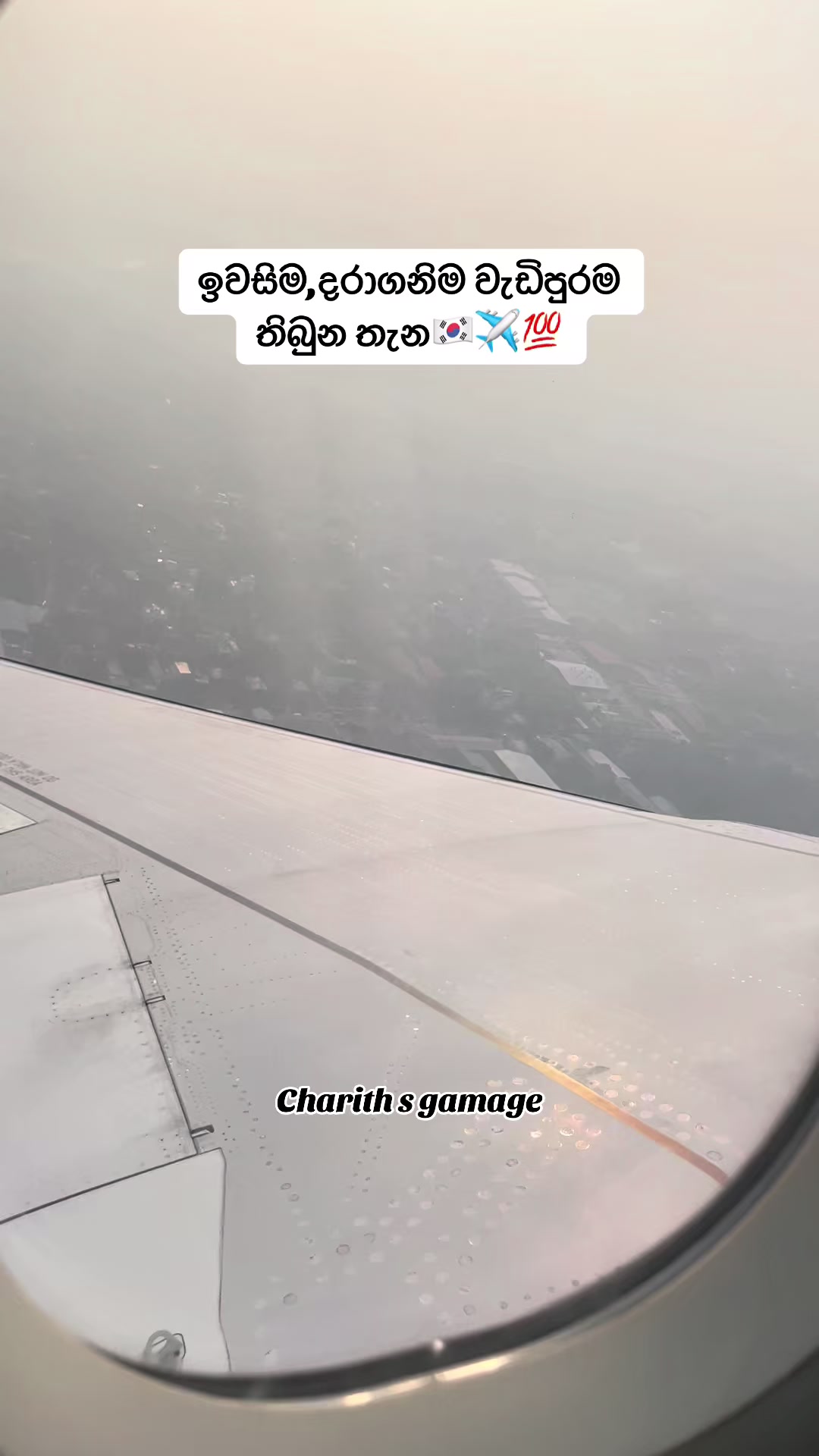 @Chariyy 🇰🇷