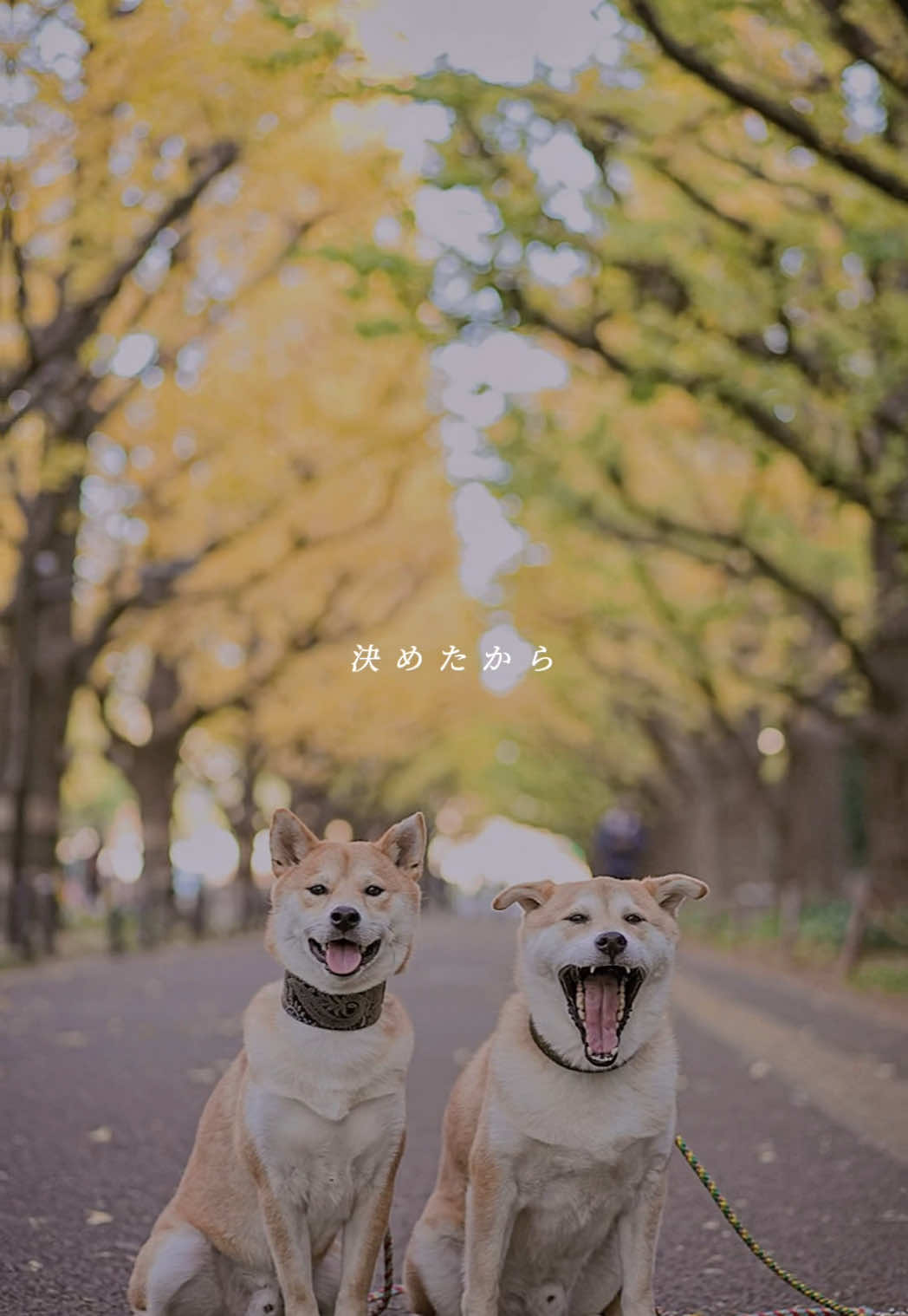 @てんくう