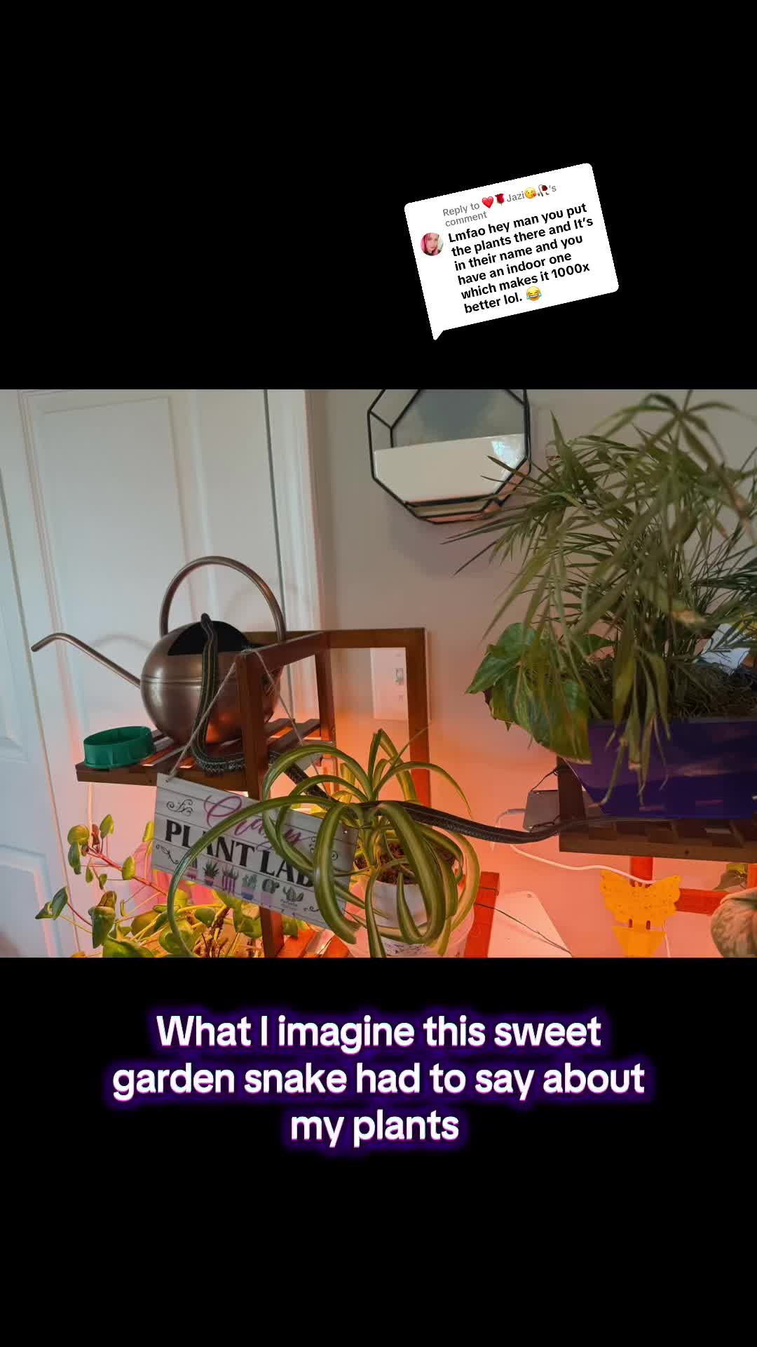 @just.mo365