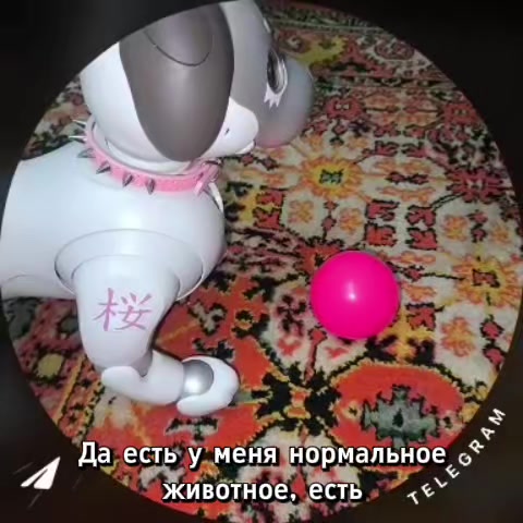 @Чевинстри