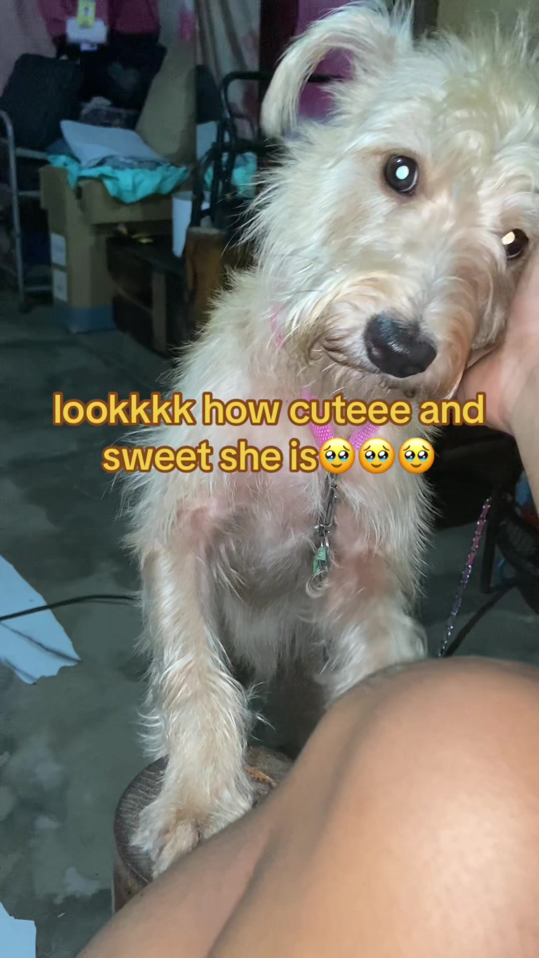 @Juls