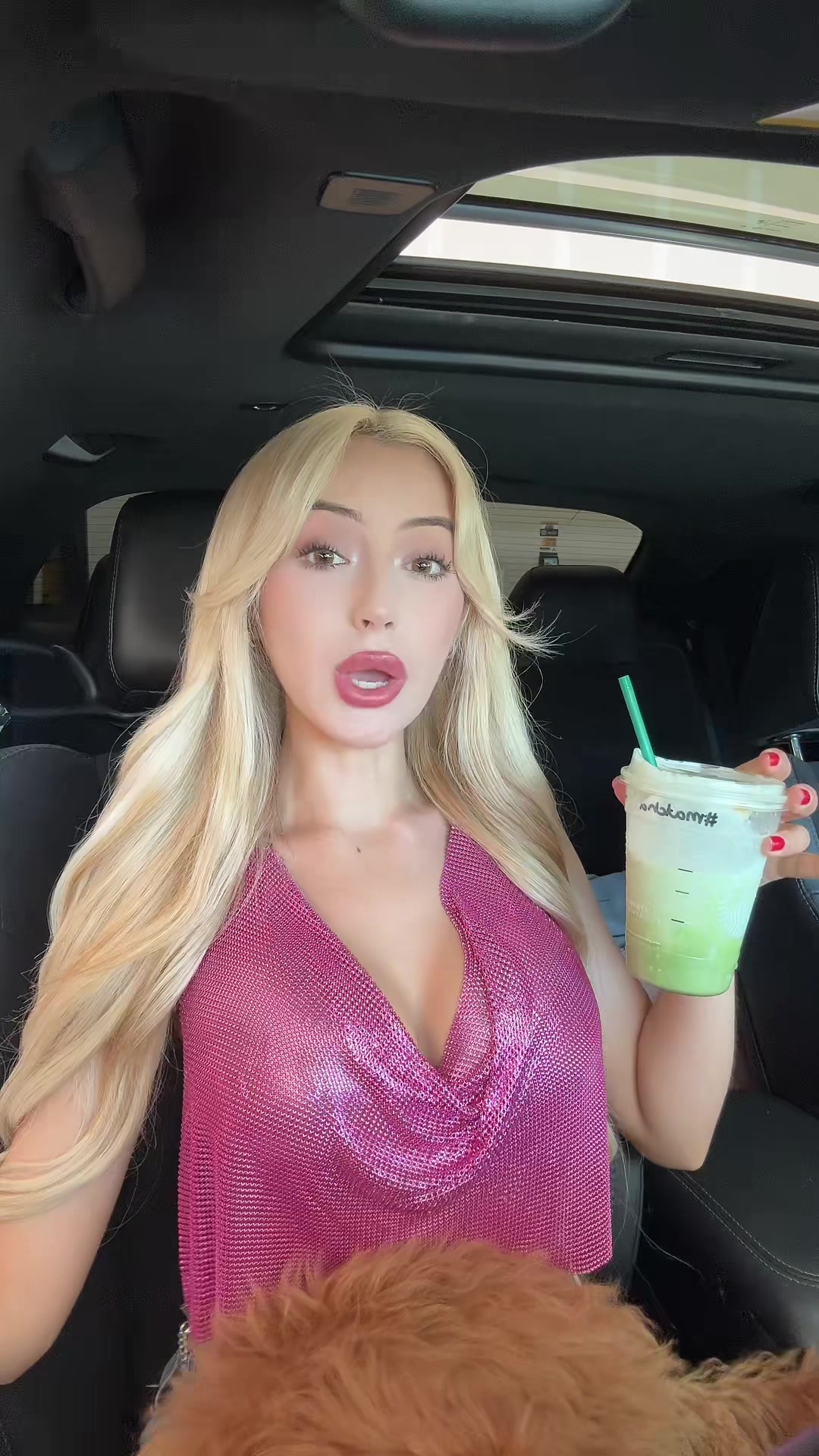 @Paulina Gallegos 🇲🇽