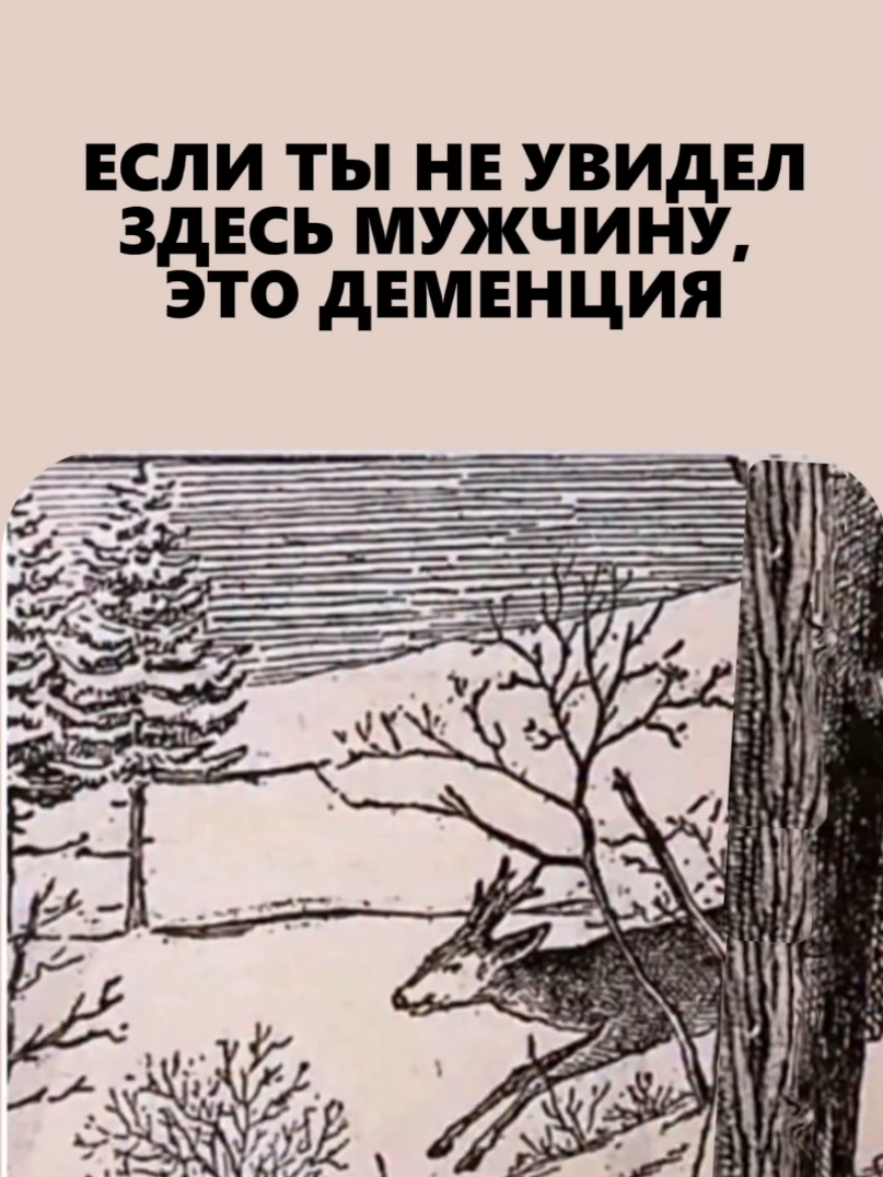 @Эни-Олорунда В.С.