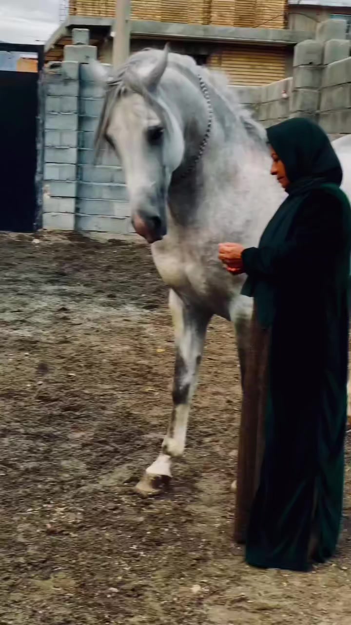 @qaqas015official