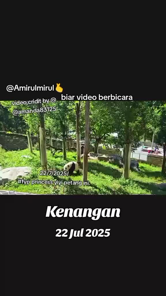 @AmirulMirul3