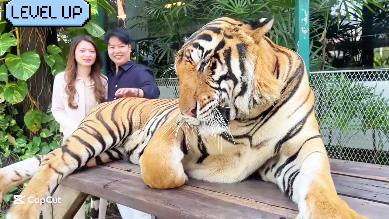 @liujiangyu