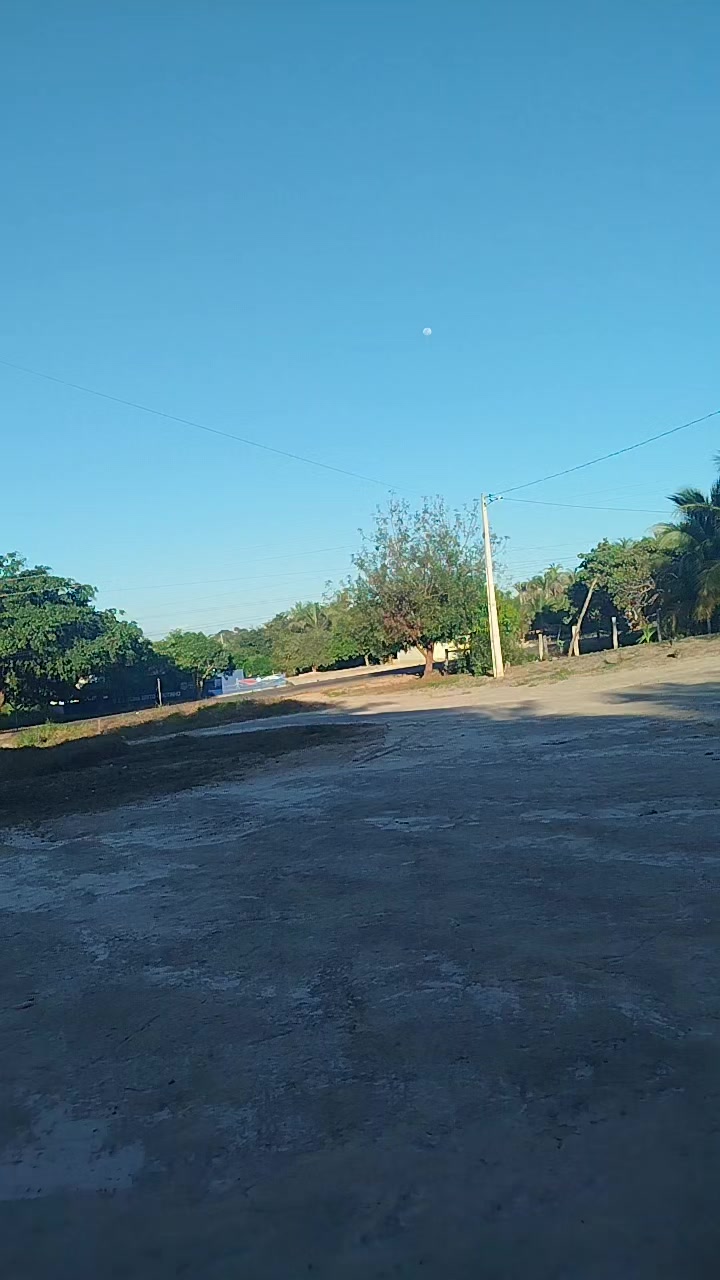 @Rosa De Sá