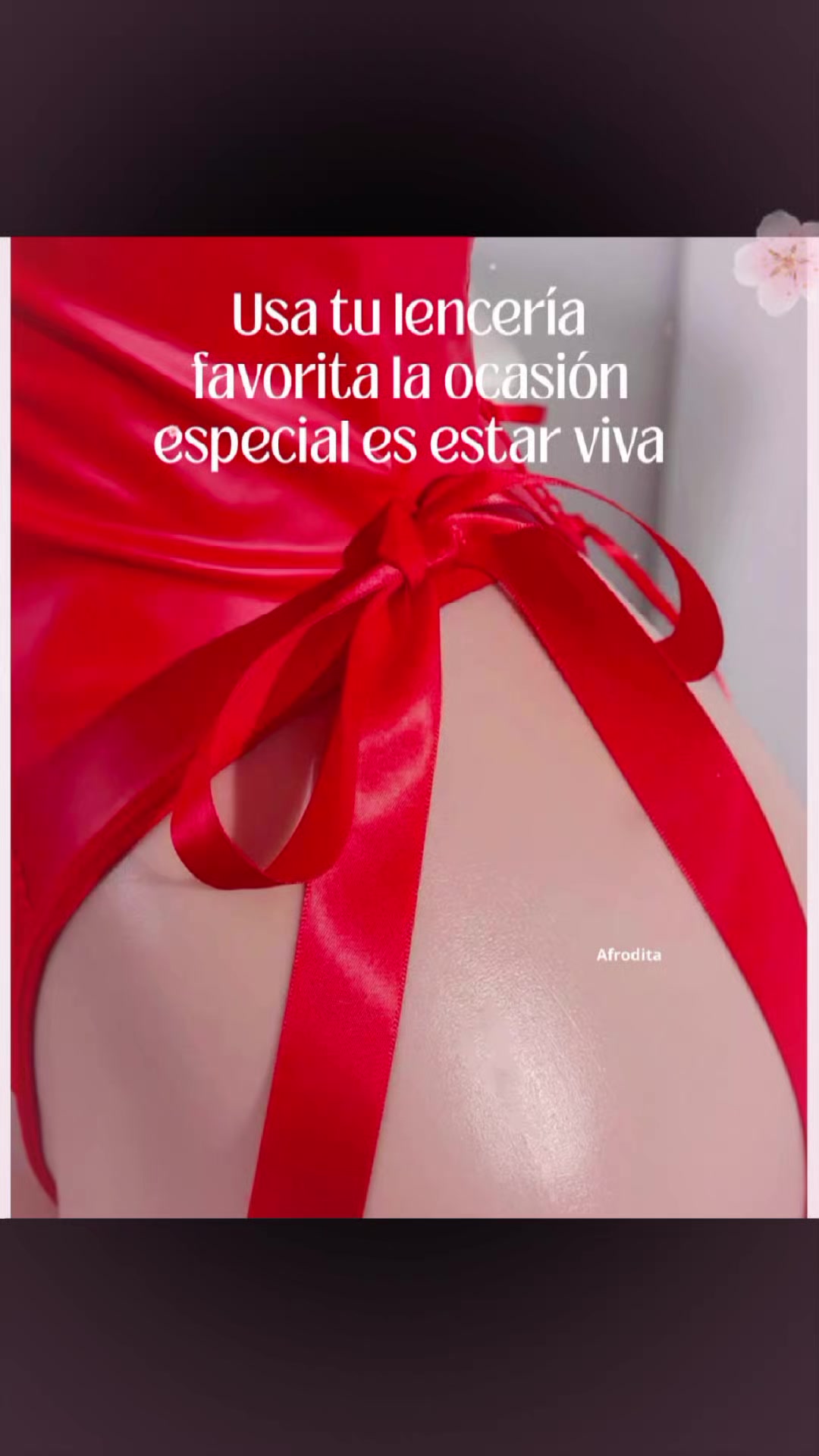 @silvia jacqueline blanco