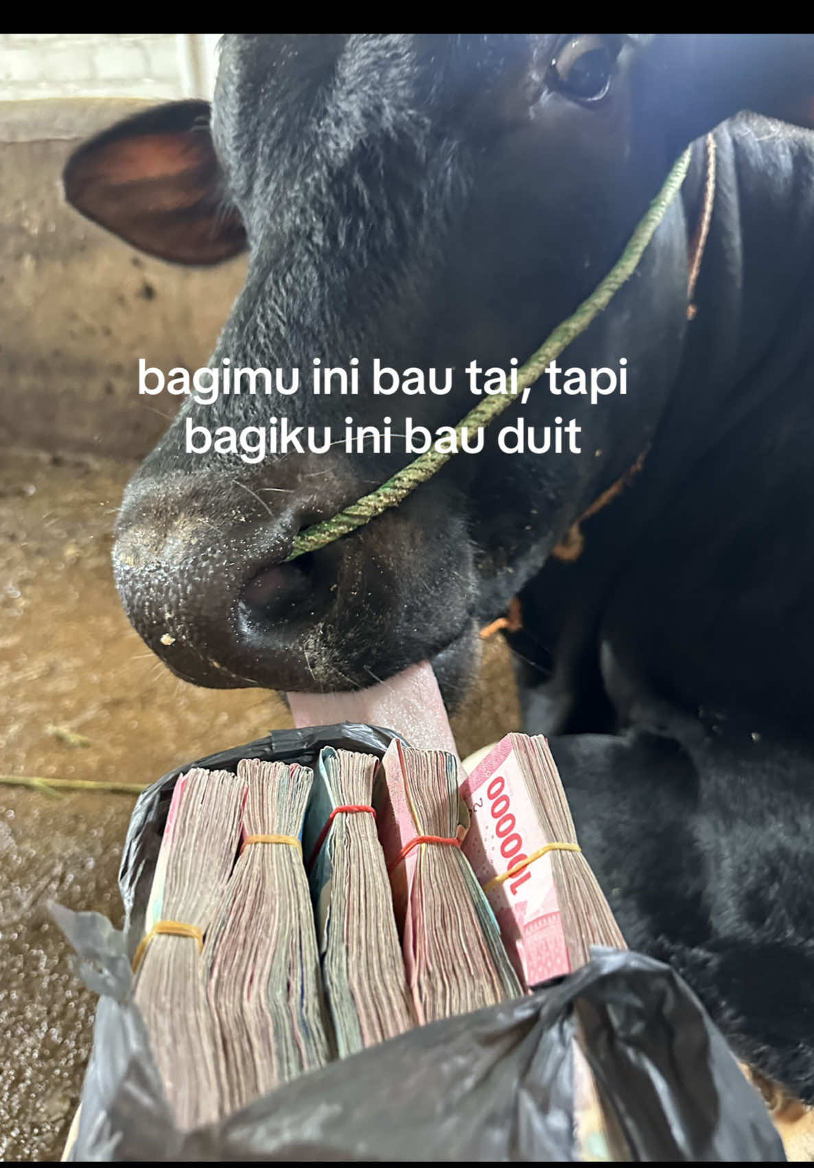 @Diah ayu komalasari