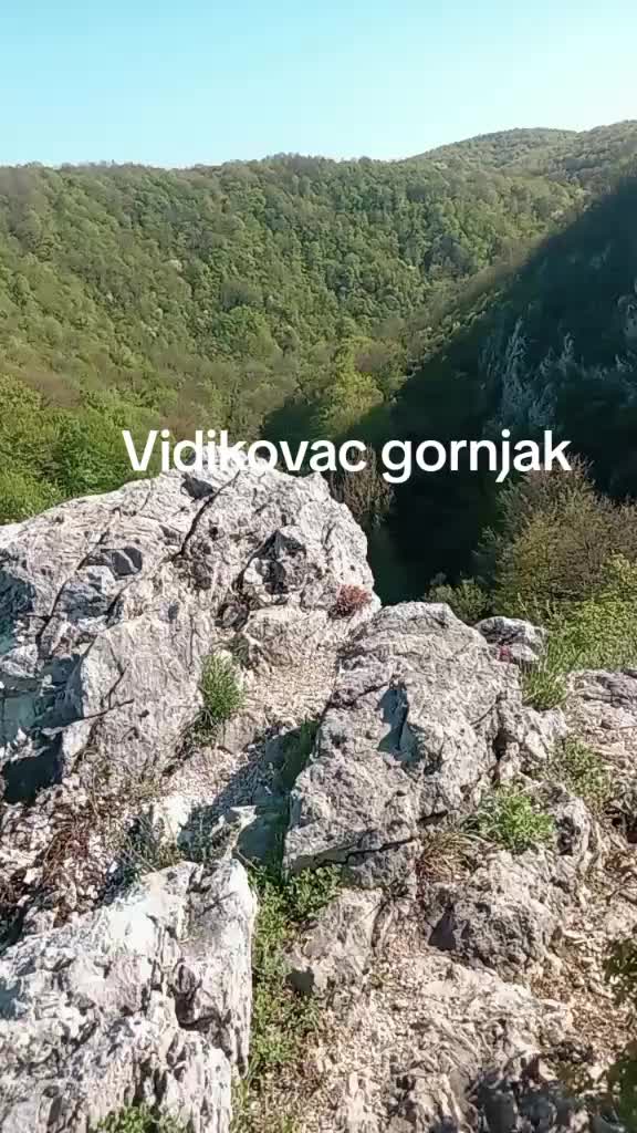 @Vanja Marković