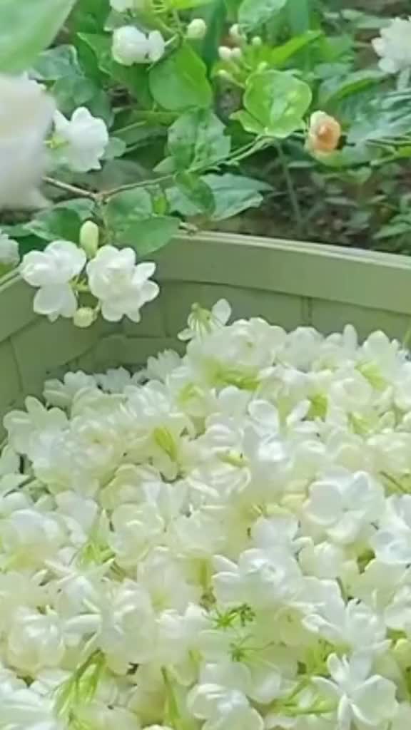 @@yoga