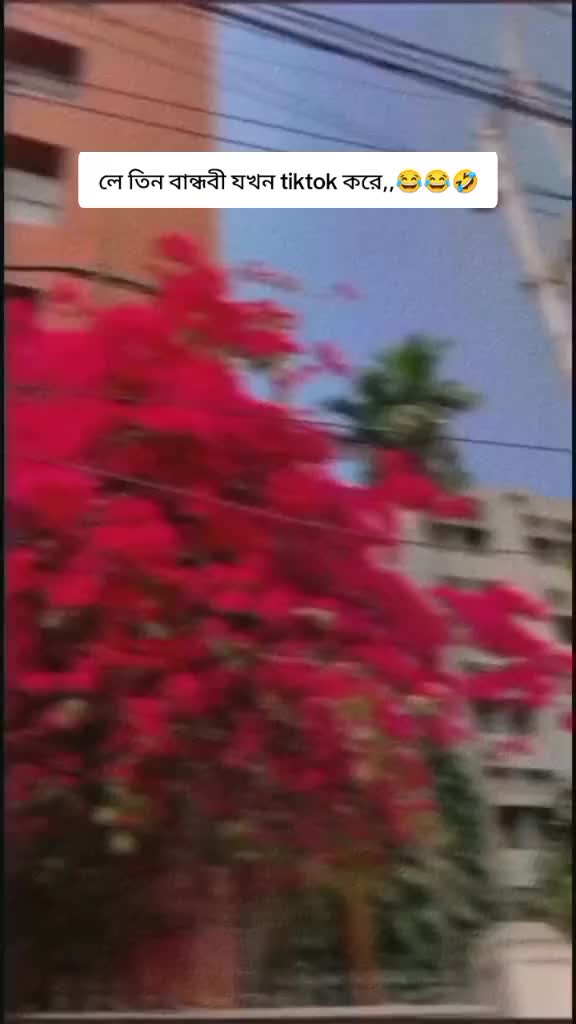 @বিবাহিত ব্যাচেলার 🫣