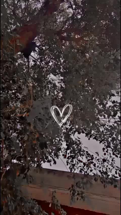 @*🩷𝑁͜͡ida੍᭄