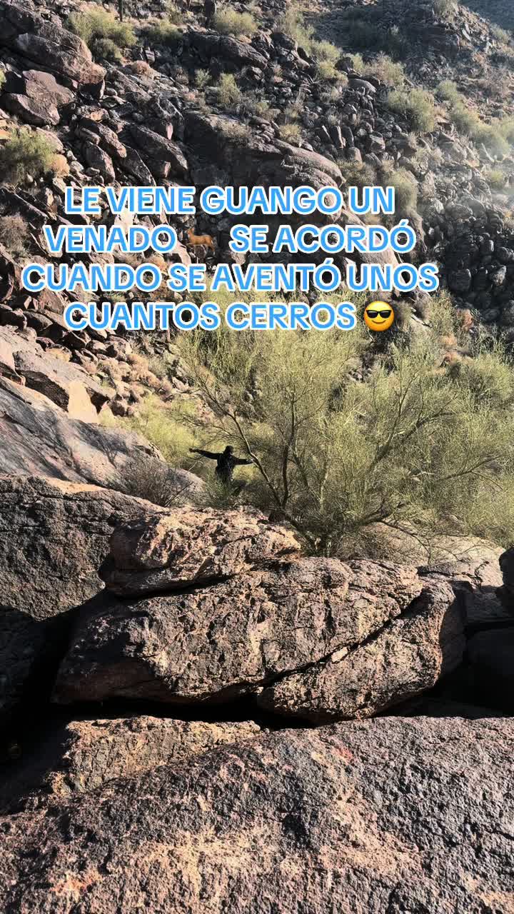 @✨🌺BETTYMARQUEZ🌺✨