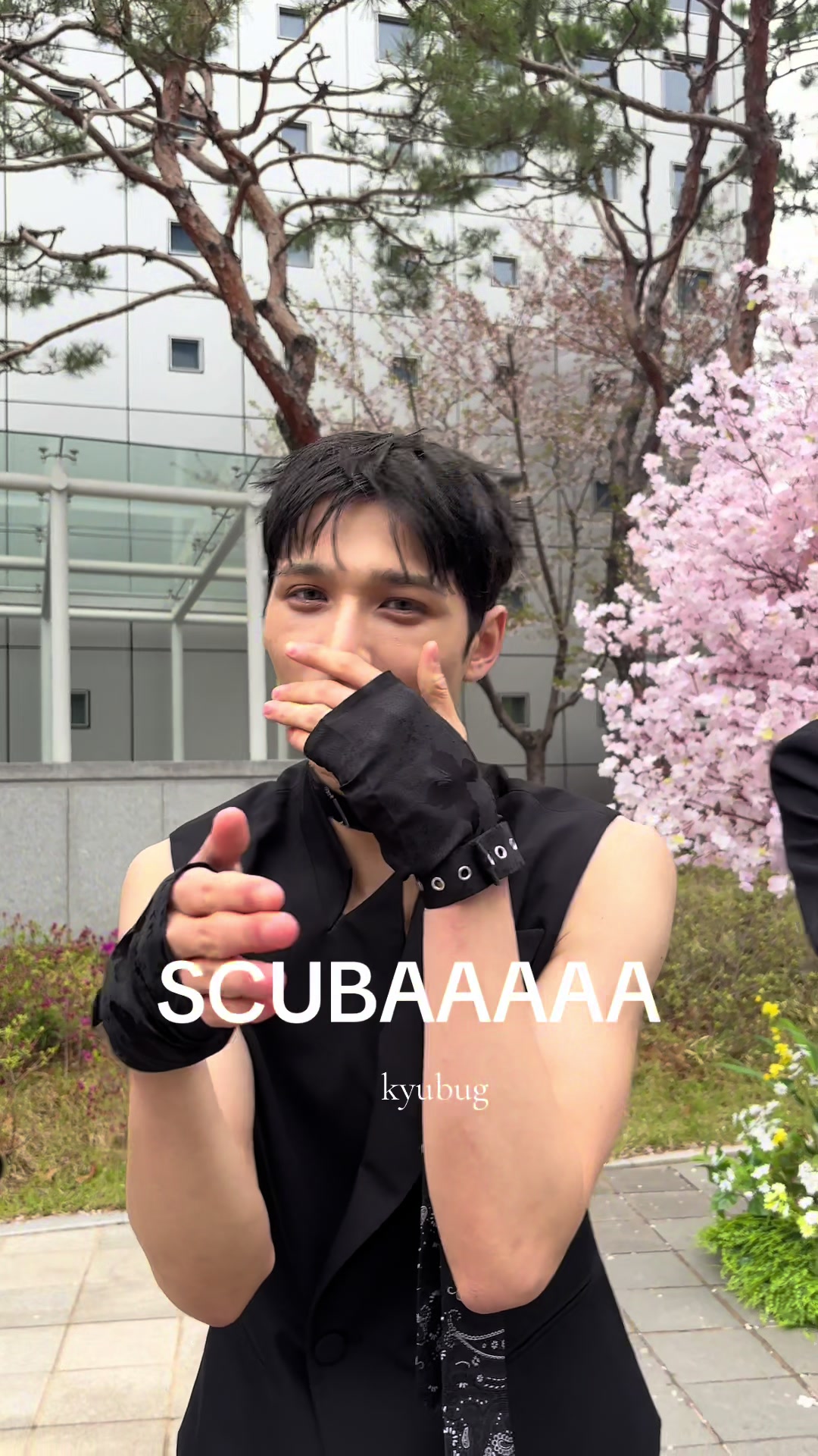 @캣